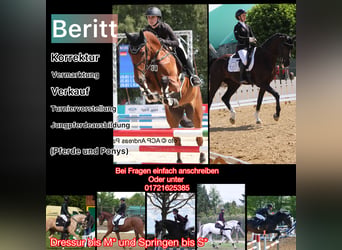 Training & Education – personalized, fair, and horse-friendly
