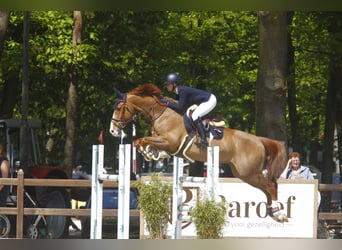 ⚜️ Training spots available ⚜️