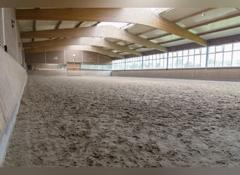 ⚜️ Training spots available ⚜️