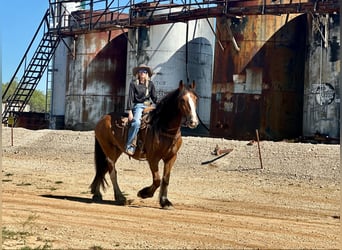 Clydesdale, Gelding, 9 years, 17 hh, Roan-Bay