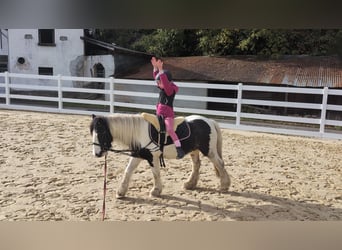 Cob, Giumenta, 4 Anni, 121 cm, Pezzato