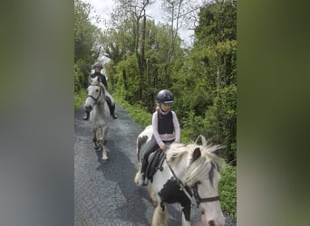Cob, Giumenta, 5 Anni, 127 cm, Pezzato