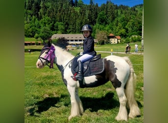 Cob, Giumenta, 5 Anni, 127 cm, Pezzato