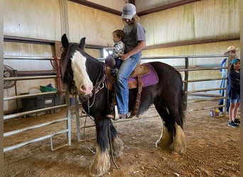 Cob Irlandese / Tinker / Gypsy Vanner, Castrone, 10 Anni, 132 cm, Sabino