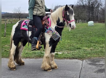 Cob Irlandese / Tinker / Gypsy Vanner, Giumenta, 6 Anni, 130 cm, Pezzato