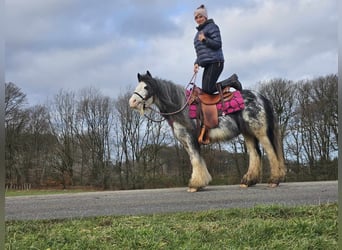 Cob Irlandese / Tinker / Gypsy Vanner, Giumenta, 8 Anni, 139 cm, Tovero-tutti i colori