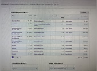 Connemara, Gelding, 12 years, 14.2 hh, Grey-Dark-Tan Connemara, Gelding, 12 years, 14.2 hh, Grey-Dark-Tan