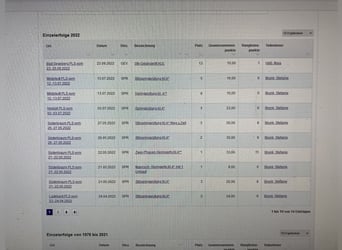Connemara, Wallach, 13 Jahre, 148 cm, Rappschimmel