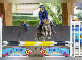 Cruzado, Merrie, 19 Jaar