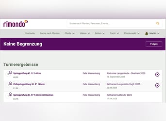 Czech Warmblood, Gelding, 10 years, 16.1 hh, Chestnut-Red Czech Warmblood, Gelding, 10 years, 16.1 hh, Chestnut-Red