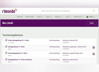 Czech Warmblood, Gelding, 10 years, 16.1 hh, Chestnut-Red Czech Warmblood, Gelding, 10 years, 16.1 hh, Chestnut-Red