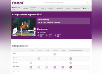 Czech Warmblood, Gelding, 10 years, 16.1 hh, Chestnut-Red Czech Warmblood, Gelding, 10 years, 16.1 hh, Chestnut-Red