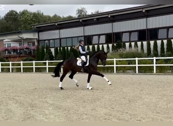 Ruin 9 Jaar
