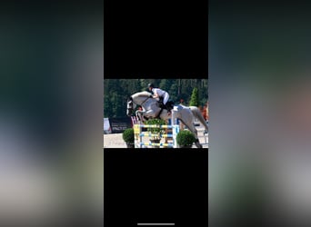 Wallach 19 Jahre