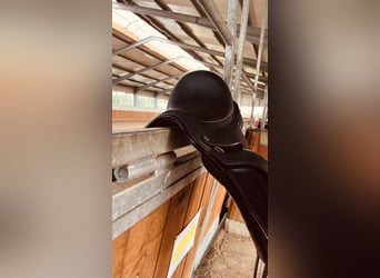 Dressursattel der Marke Dresch