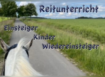 Deutsches Reitpony, Wallach, 6 Jahre, 135 cm, Schecke