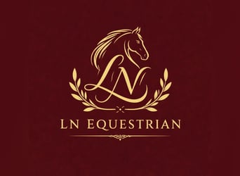 Deutsches Reitpony, Wallach, 9 Jahre, 125 cm, Schimmel