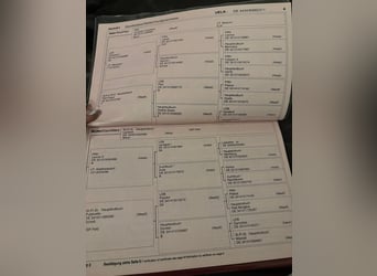 Deutsches Sportpferd, Stute, 15 Jahre, 170 cm, Dunkelbrauner