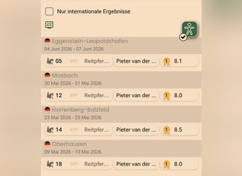Deutsches Sportpferd, Stute, 4 Jahre, 168 cm, Fuchs