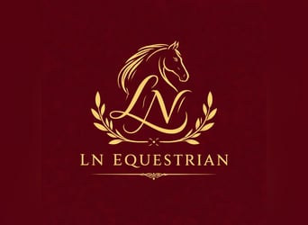 Deutsches Sportpferd, Wallach, 9 Jahre, 160 cm