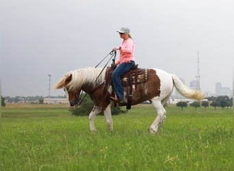 Draft Horse, Castrone, 10 Anni, 145 cm, Roano rosso