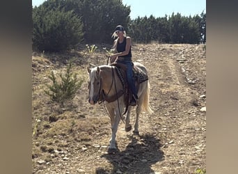 Draft Horse Mix, Gelding, 3 years, 15,1 hh, Sorrel