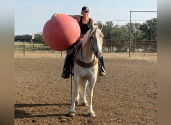 Draft Horse Mix, Gelding, 3 years, 15,1 hh, Sorrel