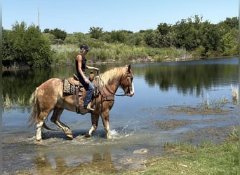Draft Horse Mix, Gelding, 4 years, 17 hh, Sorrel