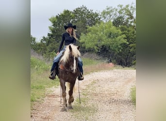 Draft Horse Mix, Gelding, 4 years, Sorrel