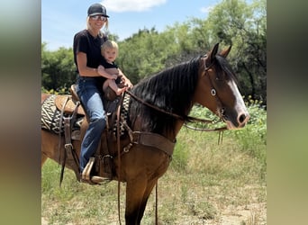 Draft Horse, Mare, 4 years, 15 hh, Bay