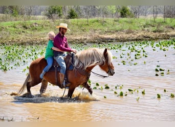 Draft Horse Mix, Mare, 5 years, 14,3 hh, Chestnut