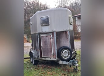 Pferdeanhänger mit Lebenserfahrung und top fit 