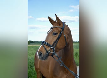 Merrie 4 Jaar