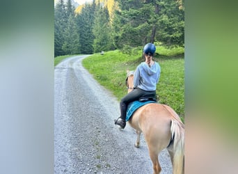 El poni de silla polaco Mestizo, Yegua, 5 años, 135 cm, Bayo