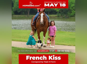 American Paint Horse, Mare, 15 years, Chestnut, in Forney
