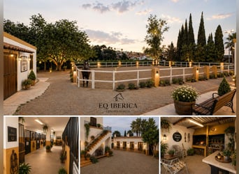 Equestrian estate of 1 hectare plus 300 m² of living space