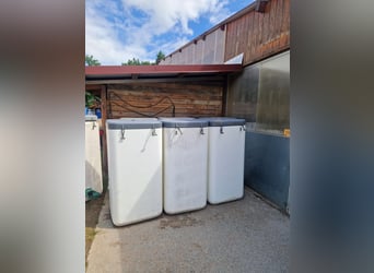 Iso Tank Elma, Frostsicher für Pferde, Schafe Ziegen