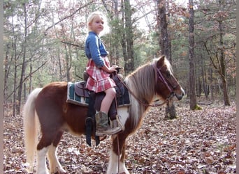 Fler ponnyer/små hästar, Valack, 10 år, 97 cm, Fux