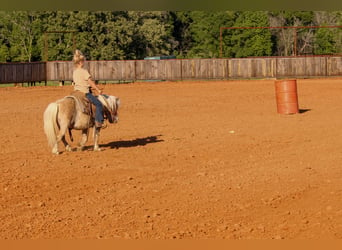 Fler ponnyer/små hästar, Valack, 9 år, 94 cm