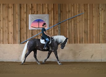 Fries paard Mix, Ruin, 4 Jaar, 165 cm