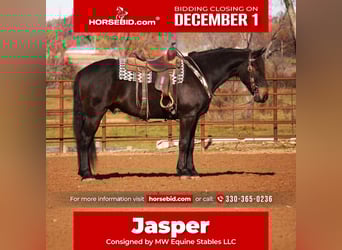 Fries paard Mix, Ruin, 5 Jaar, 163 cm, Roodbruin