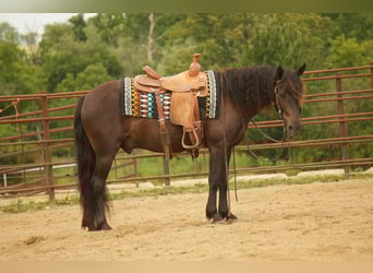 Fries paard Mix, Ruin, 7 Jaar, 140 cm