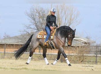 Fries paard Mix, Ruin, 7 Jaar, Roan-Bay