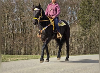 Fries paard Mix, Ruin, 9 Jaar, 172 cm, Zwart