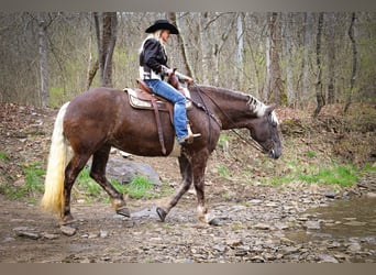 Friesian horses, Gelding, 5 years, 17 hh, Gray-Dapple