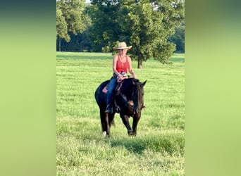 Friesian horses Mix, Mare, 4 years, 15,2 hh, Black