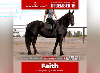 Friesian horses, Mare, 5 years, 15.3 hh, Black