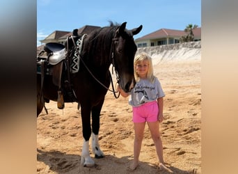 Frisones Mestizo, Caballo castrado, 4 años, 140 cm