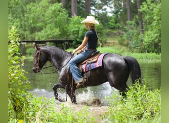 Frisones Mestizo, Caballo castrado, 5 años, Negro