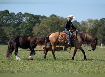 Frisones Mestizo, Caballo castrado, 7 años, 155 cm, Bayo